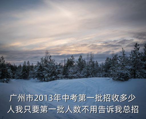 廣州市2013年中考第一批招收多少人我只要第一批人數(shù)不用告訴我總招
