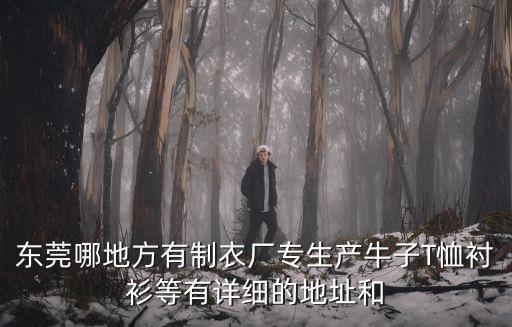 東莞市恩碩服飾有限公司，請問東莞塘廈石鼓有沒有制衣廠