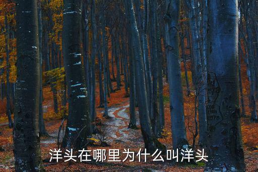 洋頭，洋頭在哪里為什么叫洋頭