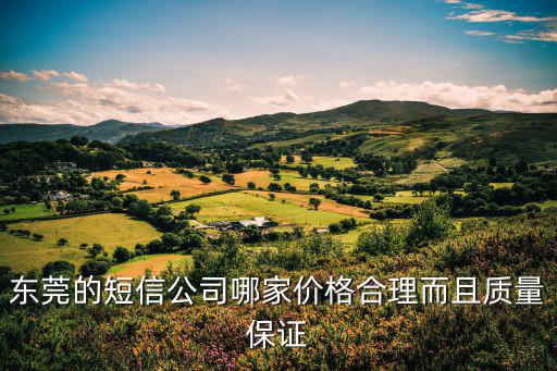 東莞的短信公司哪家價格合理而且質量保證
