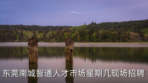 東莞南城智通人才市場星期幾現(xiàn)場招聘