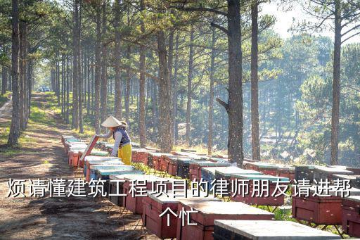 煩請懂建筑工程項目的律師朋友請進幫個忙
