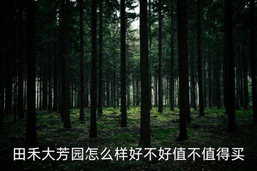 田禾大芳園怎么樣好不好值不值得買
