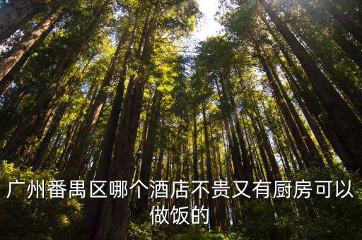 廣州番禺區哪個酒店不貴又有廚房可以做飯的