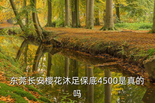 東莞長(zhǎng)安櫻花沐足保底4500是真的嗎