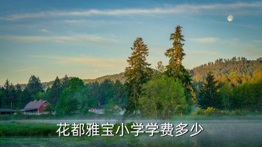 花都雅寶小學學費多少