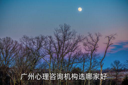廣州心理咨詢機構選哪家好