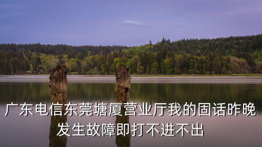 廣東電信東莞塘廈營業廳我的固話昨晚發生故障即打不進不出