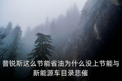 普銳斯這么節能省油為什么沒上節能與新能源車目錄悲催