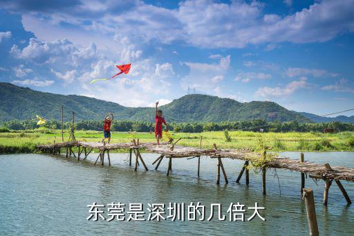 深圳對比東莞的本地經濟，東莞的經濟好還是深圳的經濟好