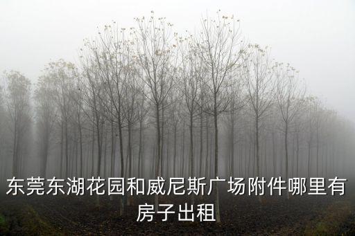 東莞東湖花園和威尼斯廣場附件哪里有房子出租