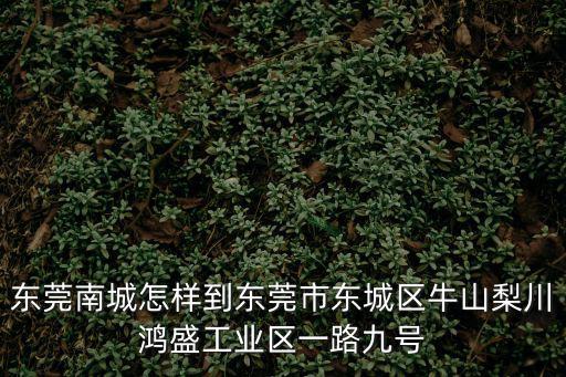 東莞南城怎樣到東莞市東城區牛山梨川鴻盛工業區一路九號