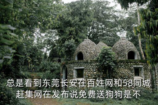 總是看到東莞長安在百姓網和58同城趕集網在發布說免費送狗狗是不