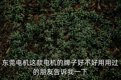東莞電機這款電機的牌子好不好用用過的朋友告訴我一下