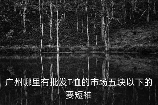 廣州哪里有批發(fā)T恤的市場(chǎng)五塊以下的要短袖
