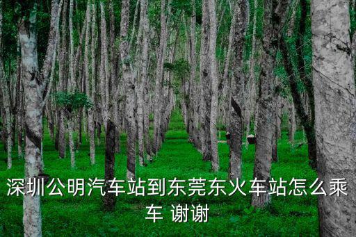 深圳公明到東莞東，從深圳公明汽車站到東莞東汽車站坐什么車