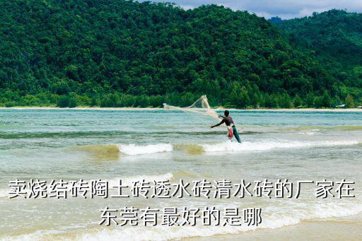 賣(mài)燒結(jié)磚陶土磚透水磚清水磚的廠家在東莞有最好的是哪