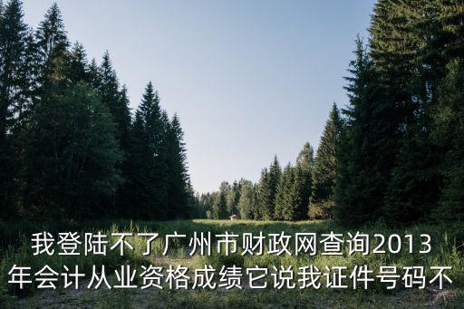 我登陸不了廣州市財政網查詢2013年會計從業資格成績它說我證件號碼不