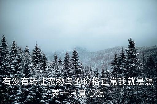 有沒有轉讓寵物鳥的價格正常我就是想養一只真心想