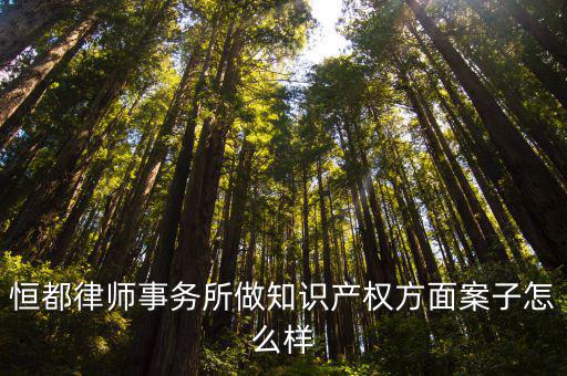恒都律師事務所做知識產權方面案子怎么樣