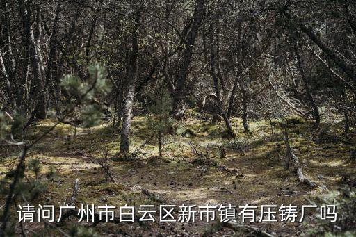 請問廣州市白云區新市鎮有壓鑄廠嗎