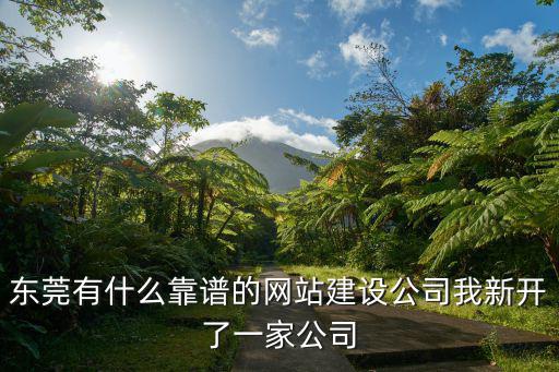 東莞有什么靠譜的網站建設公司我新開了一家公司