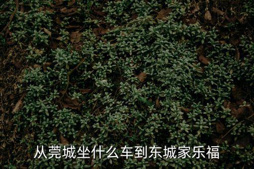 從莞城坐什么車到東城家樂福
