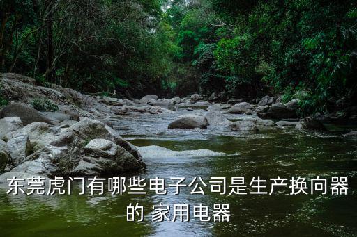 東莞虎門有哪些電子公司是生產(chǎn)換向器的 家用電器
