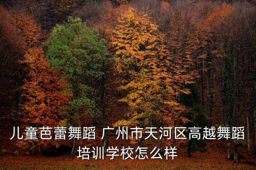 廣州舞蹈培訓(xùn) 肖老師，兒童芭蕾舞蹈 廣州市天河區(qū)高越舞蹈培訓(xùn)學(xué)校怎么樣