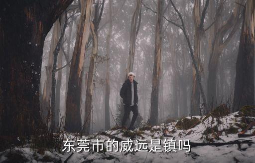 東莞市的威遠是鎮(zhèn)嗎