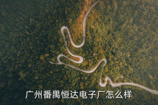廣州番禺恒達電子廠怎么樣