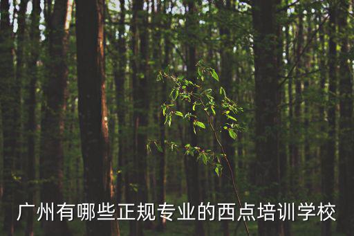 廣州有哪些正規(guī)專業(yè)的西點培訓(xùn)學(xué)校