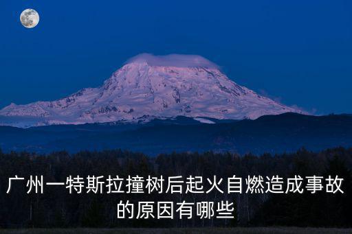 廣州一特斯拉撞樹后起火自燃造成事故的原因有哪些