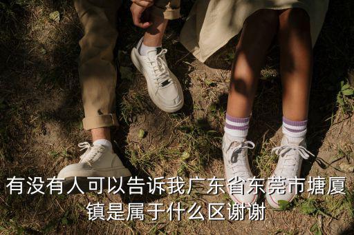 有沒有人可以告訴我廣東省東莞市塘廈鎮是屬于什么區謝謝