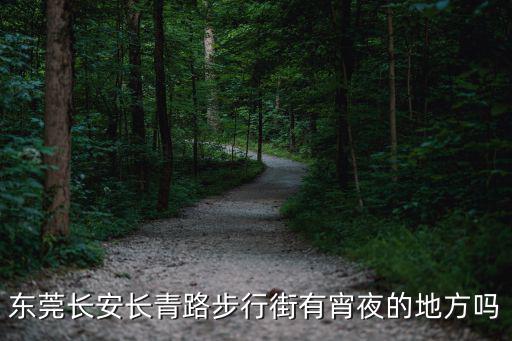 東莞長安長青路步行街有宵夜的地方嗎