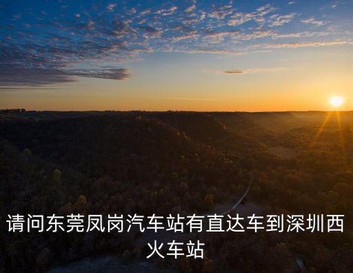 請(qǐng)問(wèn)東莞鳳崗汽車站有直達(dá)車到深圳西火車站