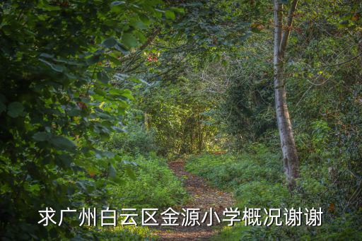 廣州金源小學(xué)相片，求廣州白云區(qū)金源小學(xué)概況謝謝