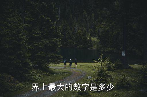 界上最大的數字是多少