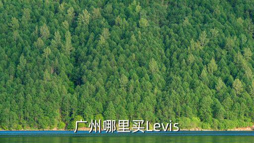 levis廣州，廣州市l(wèi)evis中國專賣店廣州市在那