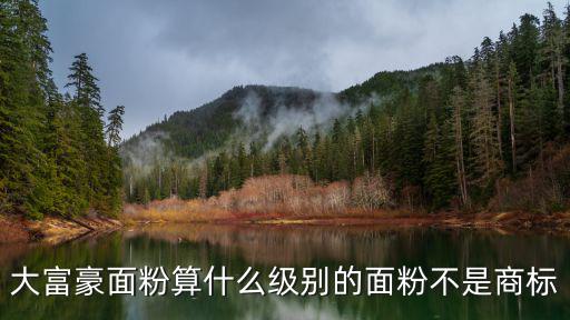 大富豪面粉算什么級別的面粉不是商標(biāo)
