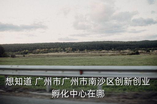 想知道 廣州市廣州市南沙區創新創業孵化中心在哪