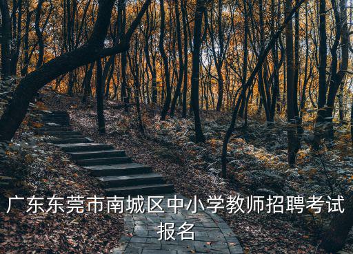 廣東東莞市南城區(qū)中小學(xué)教師招聘考試報(bào)名