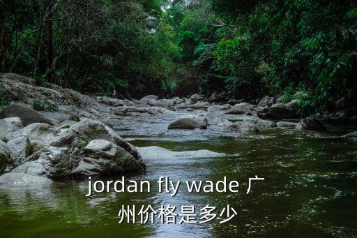 jordan fly wade 廣州價格是多少