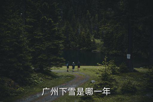 廣州下雪是哪一年
