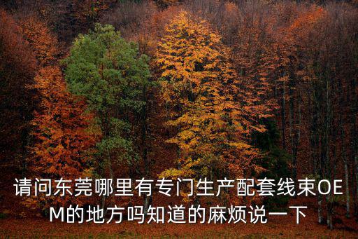 請(qǐng)問東莞哪里有專門生產(chǎn)配套線束OEM的地方嗎知道的麻煩說一下