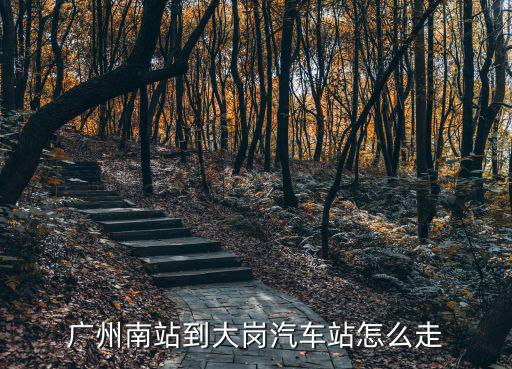 廣州南站到大崗汽車站怎么走