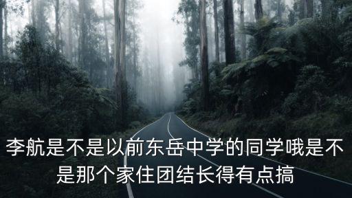 李航是不是以前東岳中學的同學哦是不是那個家住團結長得有點搞