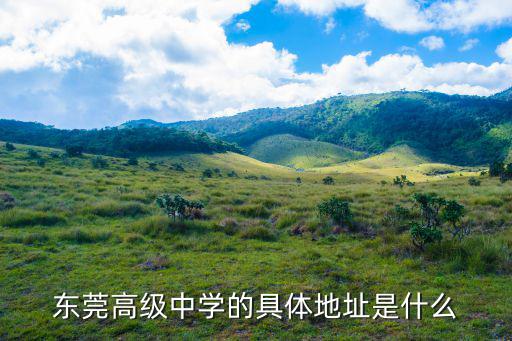東莞高級中學(xué)的具體地址是什么