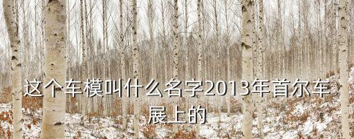 柳智慧廣州車展，這個(gè)車模叫什么名字2013年首爾車展上的