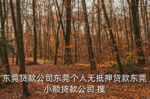 東莞貸款公司東莞個人無抵押貸款東莞小額貸款公司 搜